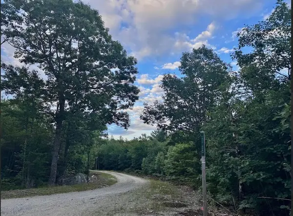 Lot 31 Lane Road, Cherryfield, ME 04622