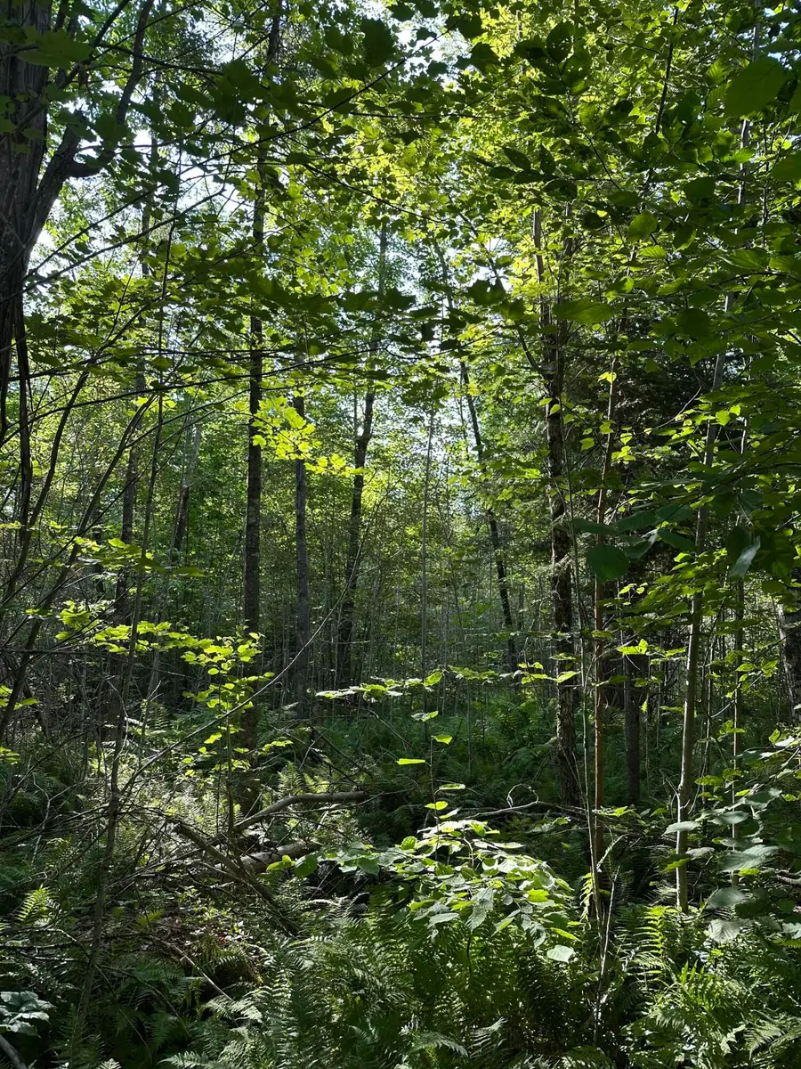 Map7Lot68 Kirkland Road, Old Town, ME 04468 - Image #3