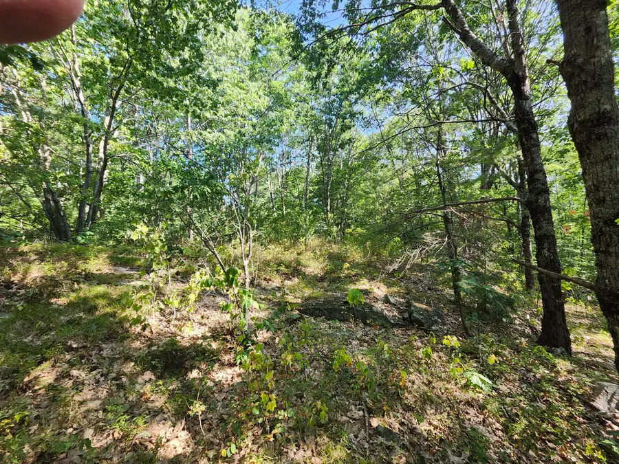 055 Wiscasset Road, Whitefield, ME 04353 - Image #3