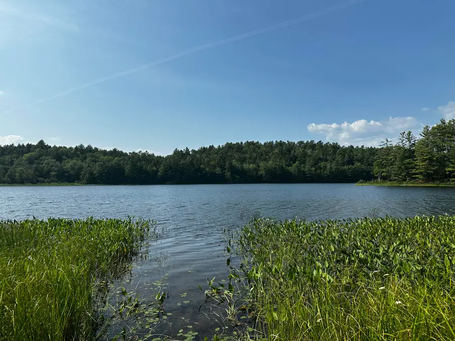 Lot 005 State Route 46 Route, Bucksport, ME 04416 - Image #3