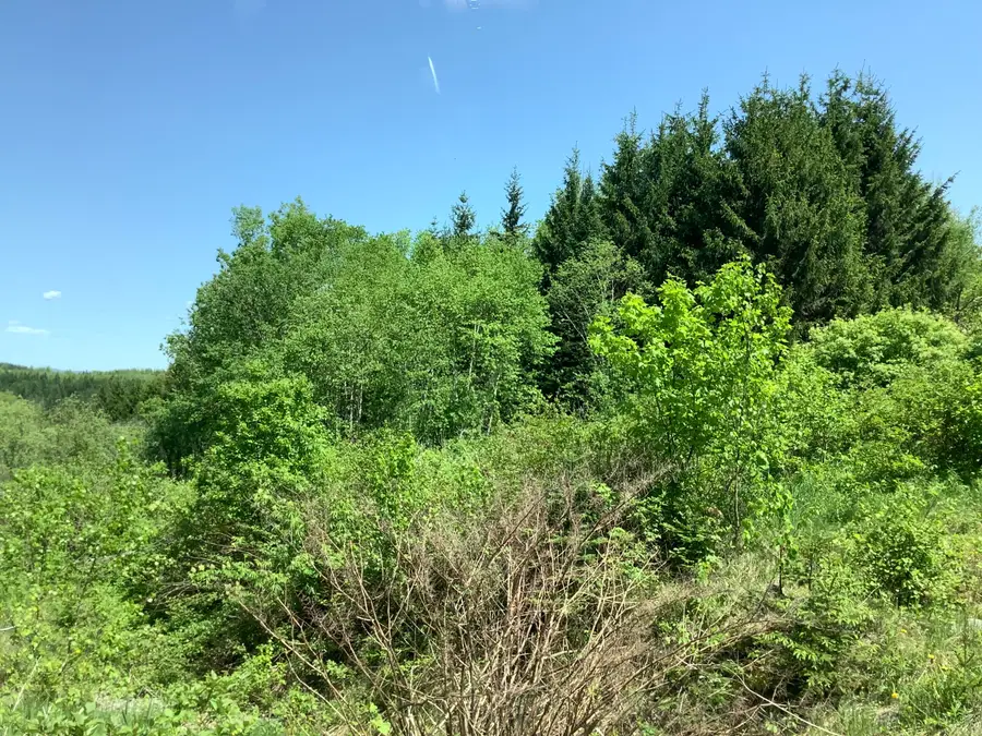 0 Rene Vaillancourt Home Farm, Cyr, ME 04785 - Image #2