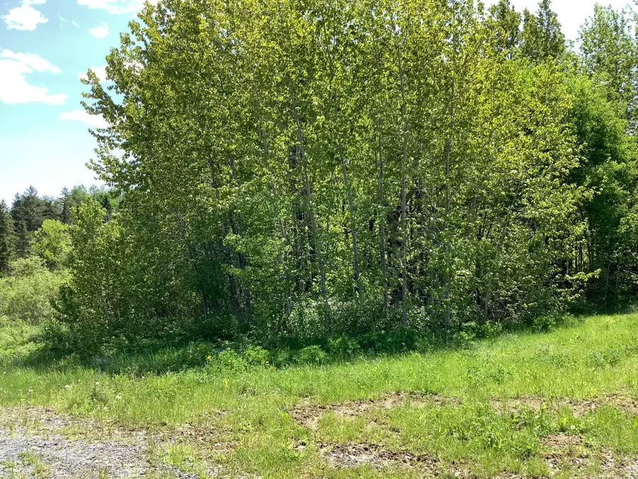 0 Rene Vaillancourt Home Farm, Cyr, ME 04785 - Image #3