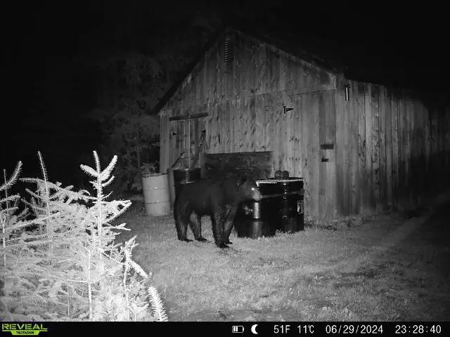 95 Morneault Road, Grand Isle, ME 04746 - Image #2