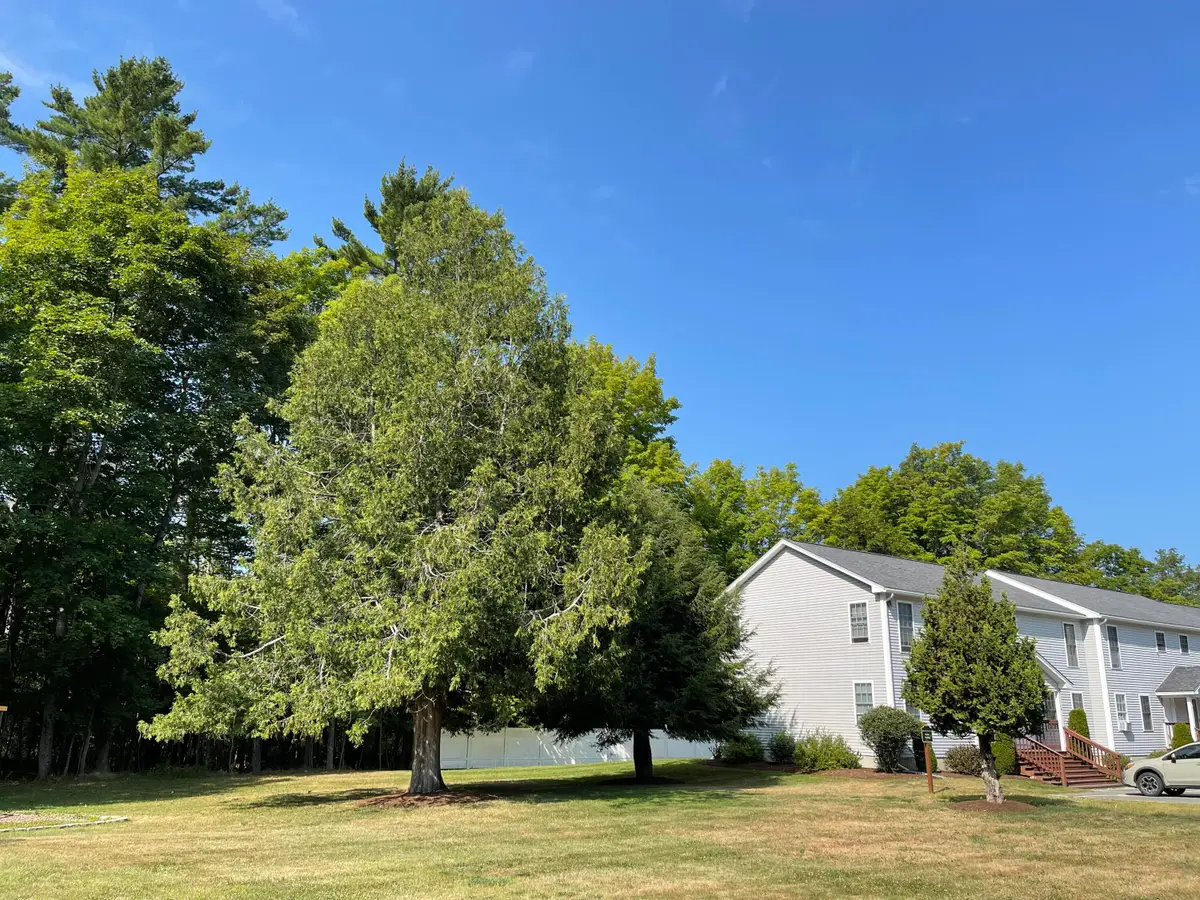 326 Stillwater Avenue #14, Old Town, ME 04468 - Image #1