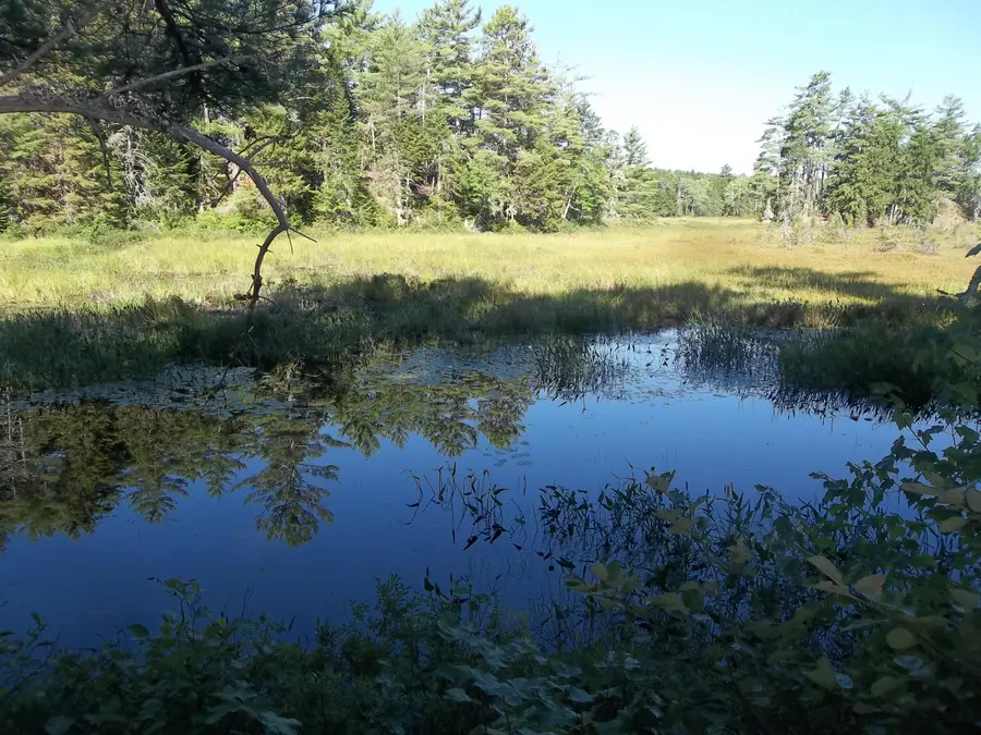 Lot 12 Hayward Point Road, North Washington, ME 04654 - Image #2