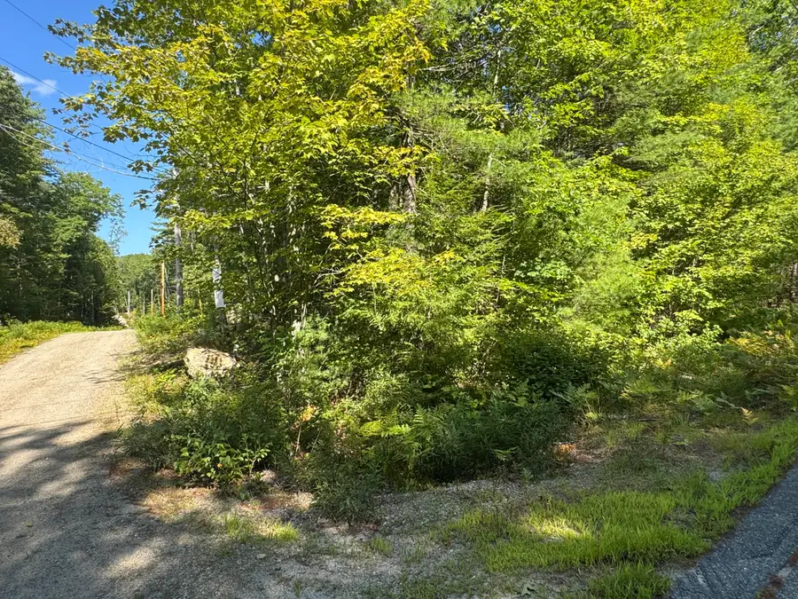 Lot # 0 Meadowbrook Drive, East Waterboro, ME 04030 - Image #2
