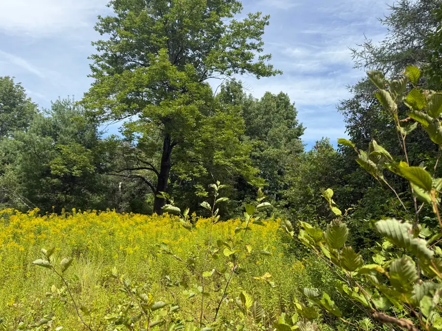 Lot 14 Dead River Road, Bowdoin, ME 04287 - Image #2