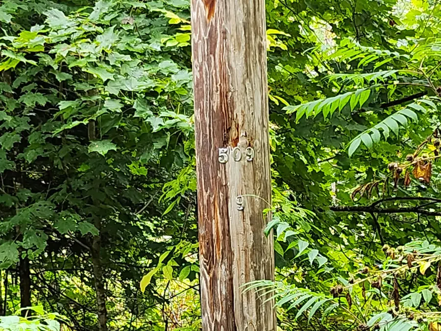 114 Miller Corner Road, Palmyra, ME 04965 - Image #3