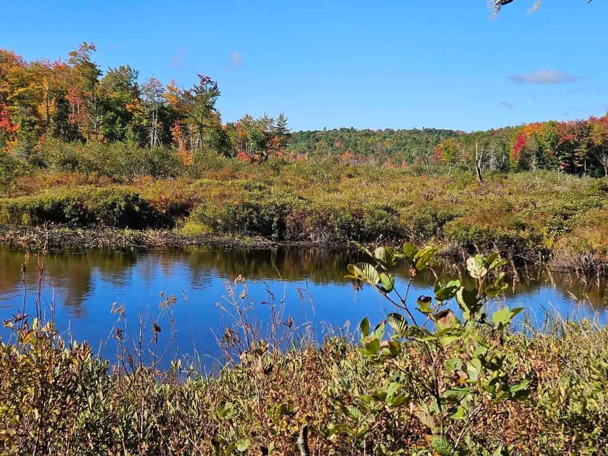 Lot 2B Kingfield Road, New Vineyard, ME 04956 - Image #1