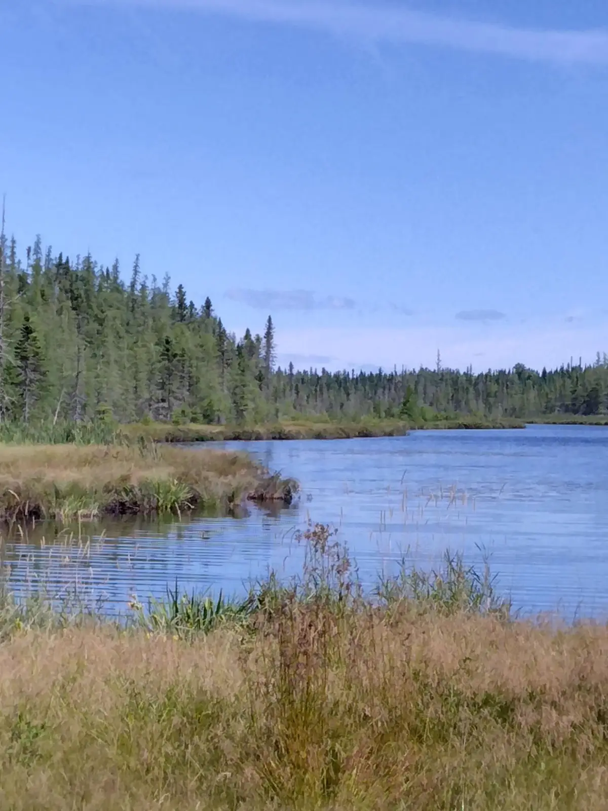 Lot 7 Caswell Woods Dernien Drive, Caswell, ME 04750 - Image #1