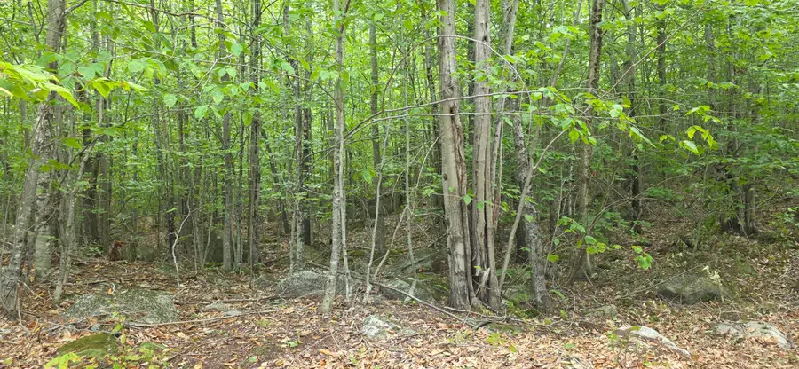 52 High Ridge Road, Norway, ME 04268 - Image #2