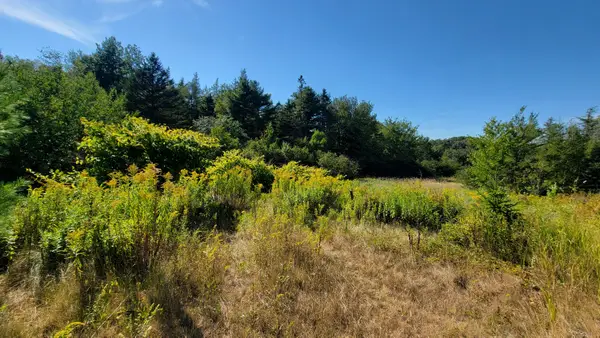 Lot 23 Bay Road, Jonesboro, ME 04648