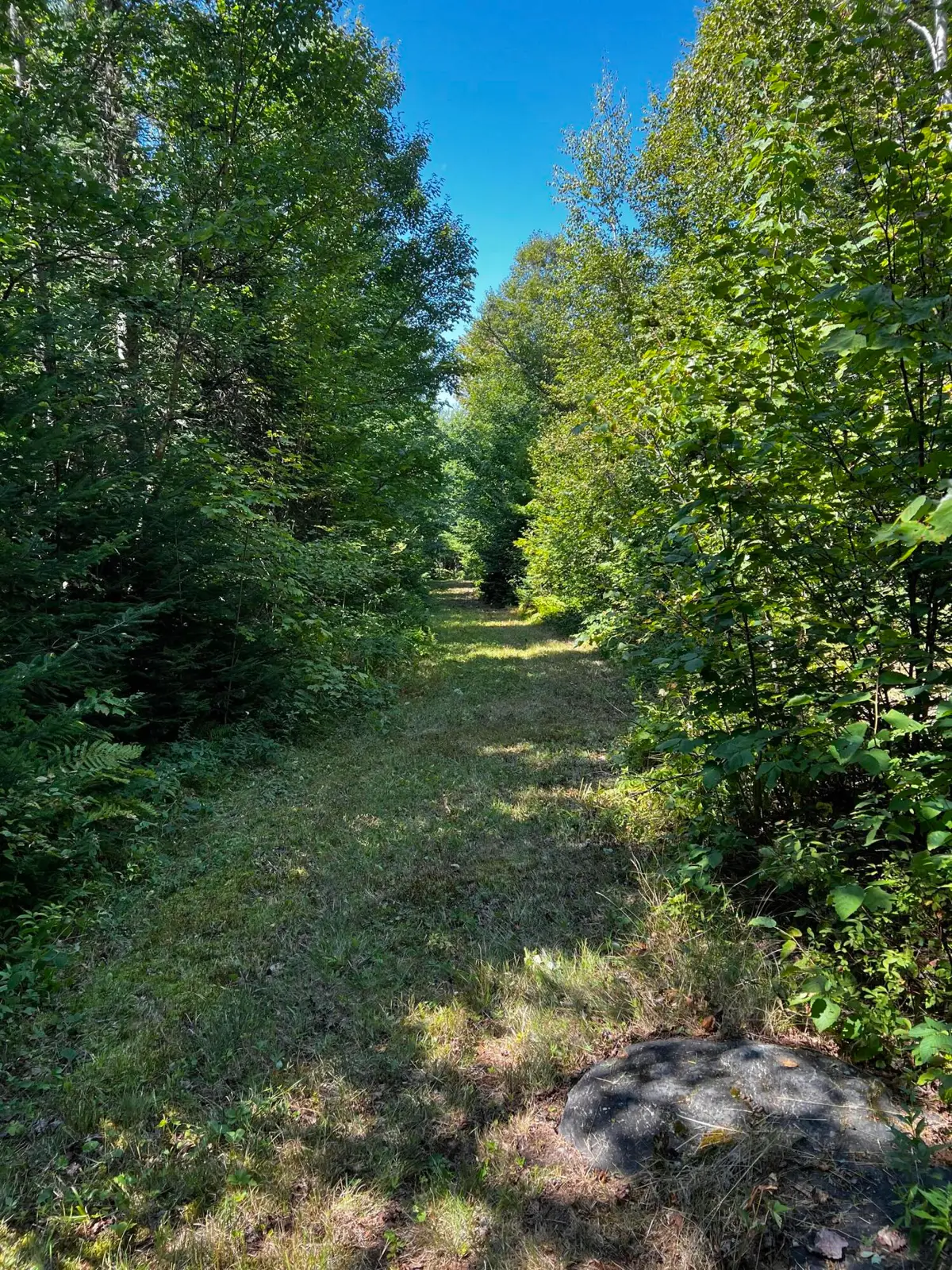 Lot 5-5&4 Bushey Road, Greenville, ME 04441 - Image #1