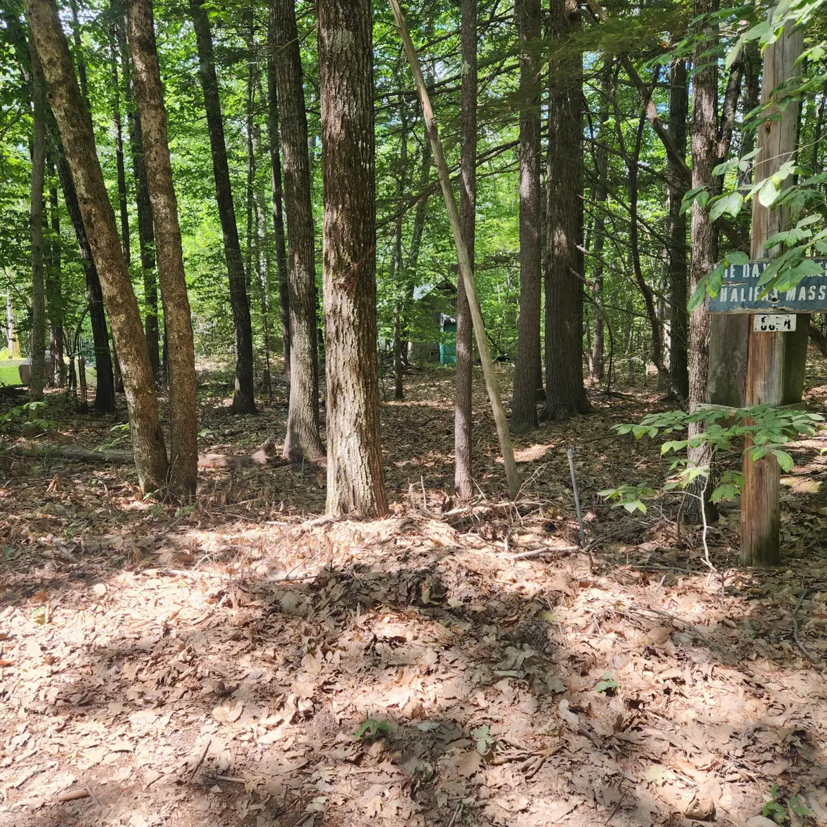 41 Busy Bee Road, Naples, ME 04055 - Image #1