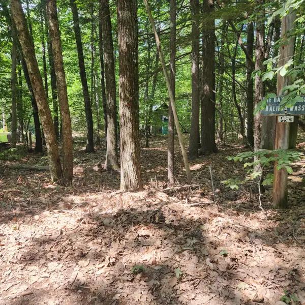 41 Busy Bee Road, Naples, ME 04055