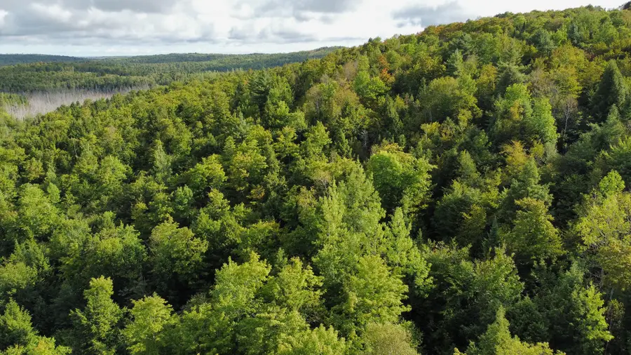 Lot 8 & 9 Moores Road, Springfield, ME 04487 - Image #2