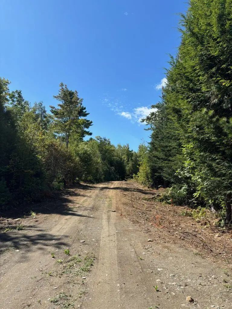 Lot 10 Route 137, Freedom, ME 04941 - Image #1