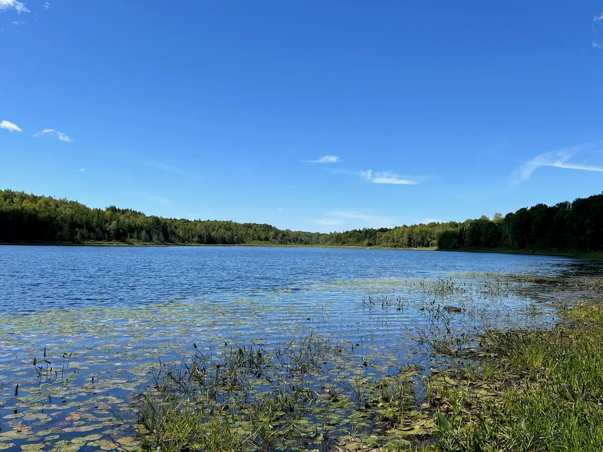 Map 1 Lot 16 Dexter Road, Garland, ME 04939 - Image #1