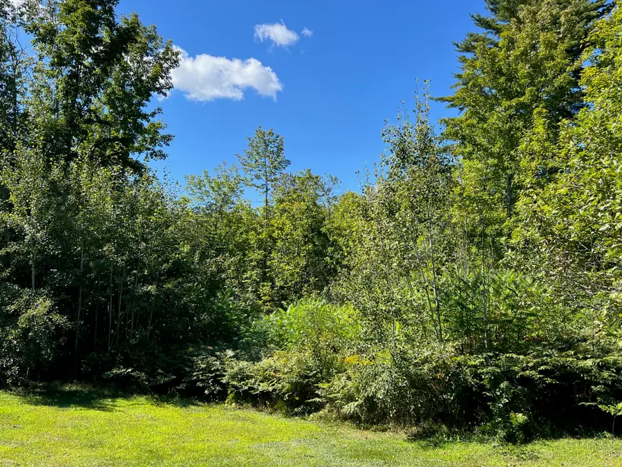 Map 1 Lot 16 Dexter Road, Garland, ME 04939 - Image #3
