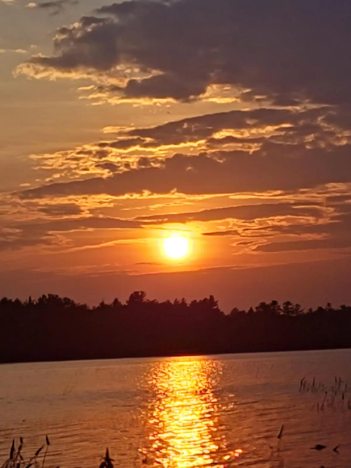 6 Wilderness Way, Wesley, ME 04686 - Image #1