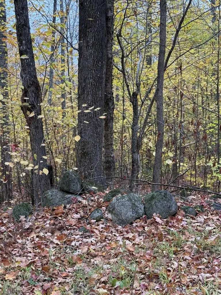 Lot 005 Greenwood Brook Road, Industry, ME 04938 - #1