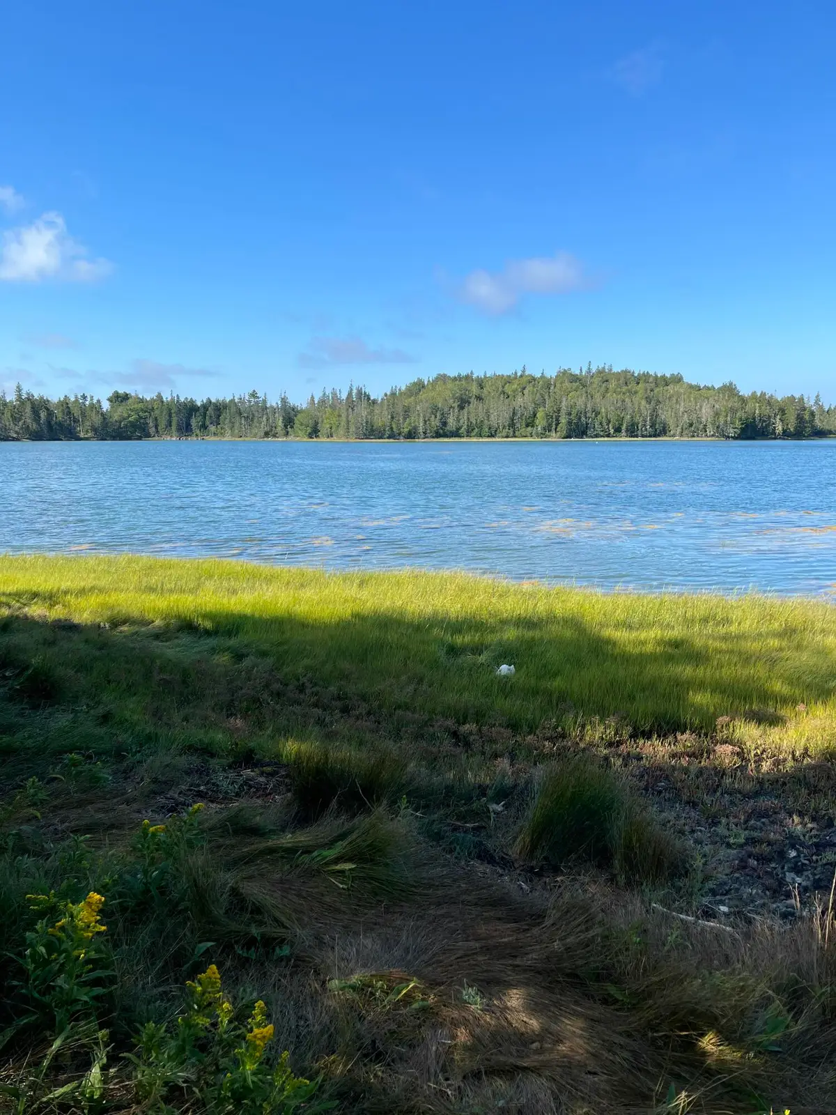 Lot #1 Southern Harbor Cove, North Haven, ME 04853 - Image #1