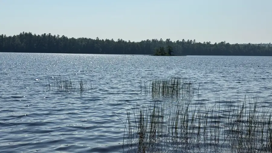 Lot #1 Bucksport Road, Ellsworth, ME 04605 - Image #2