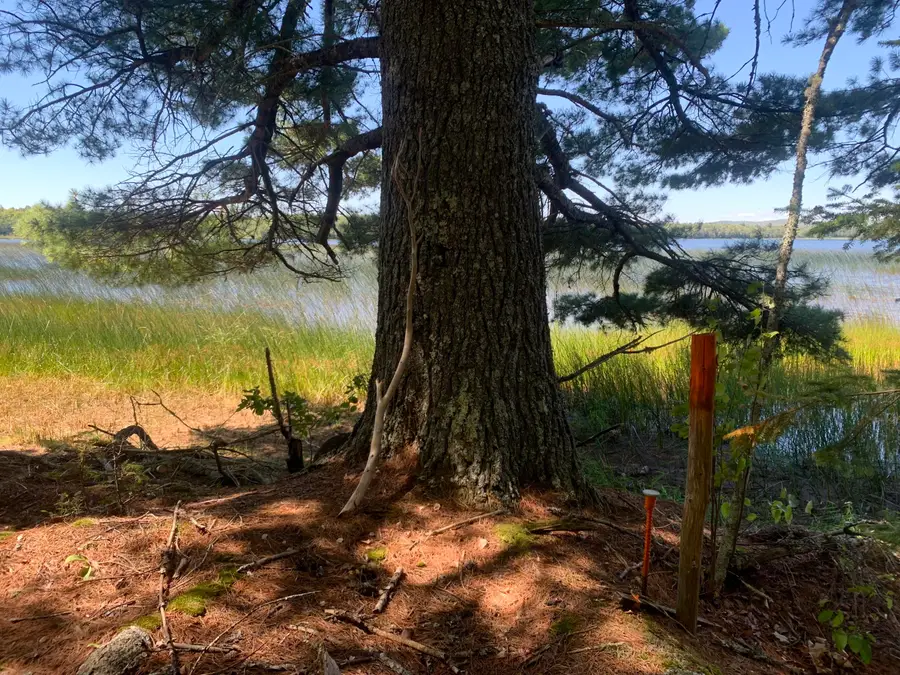 X Bechard Lane, Perry, ME 04667 - Image #2