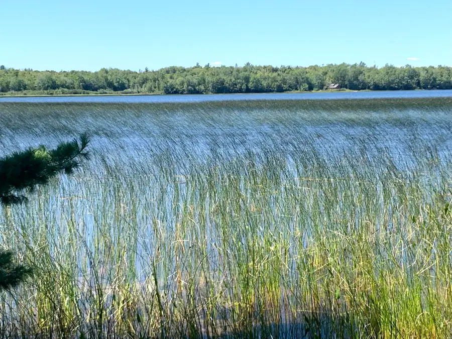 X Bechard Lane, Perry, ME 04667 - Image #3