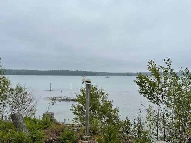 604 Duck Cove Road, Roque Bluffs, ME 04654 - Image #3