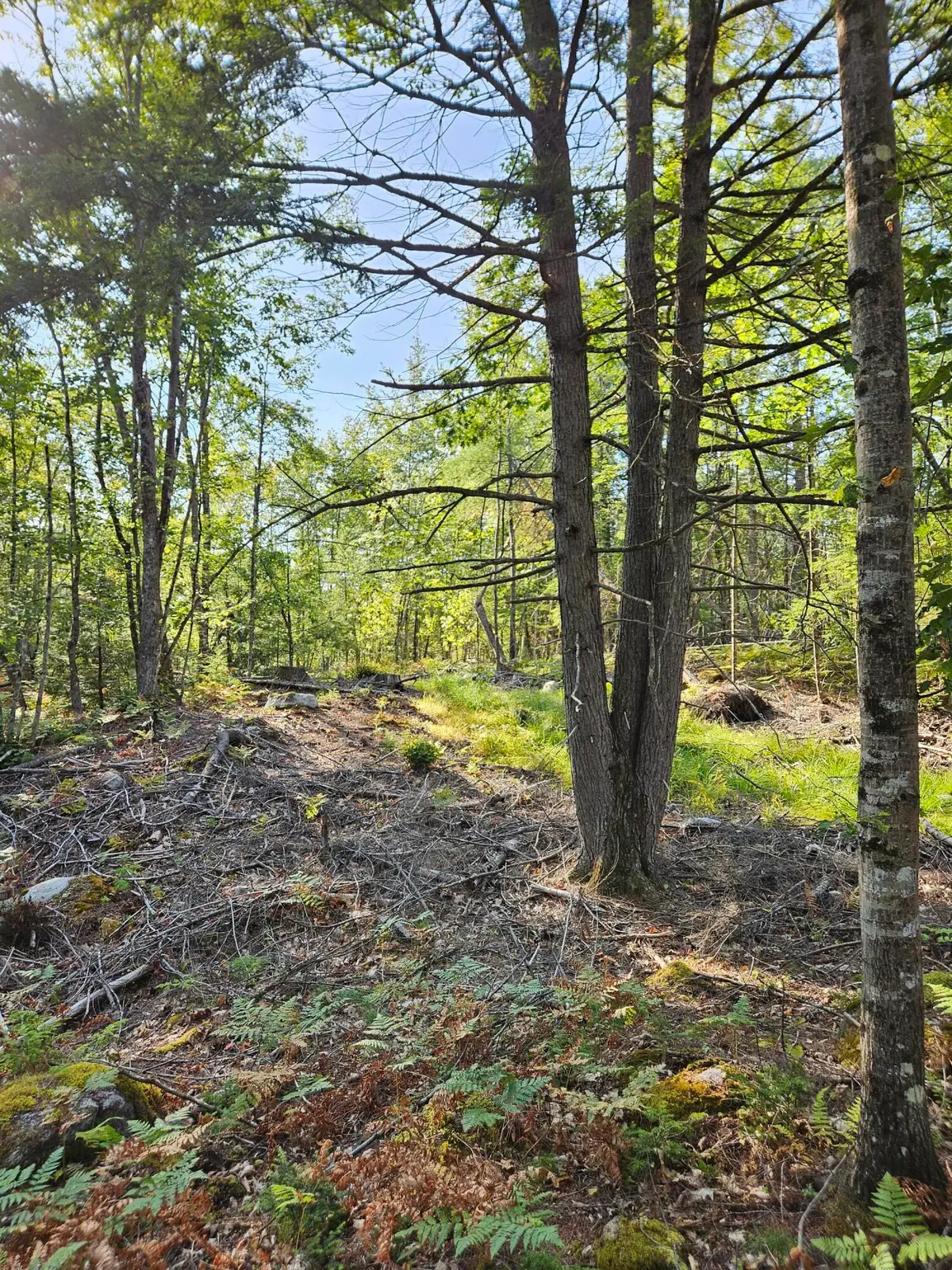 Lot A. Serenity Lane, Oxford, ME 04270 - Image #1