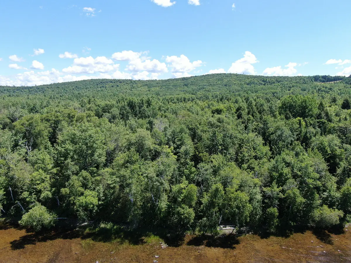 Lot 5 Woodland Ridge Road, Danforth, ME 04424 - Image #1