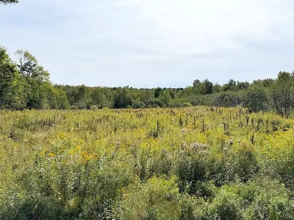 0 Trues Pond Road, Montville, ME 04941