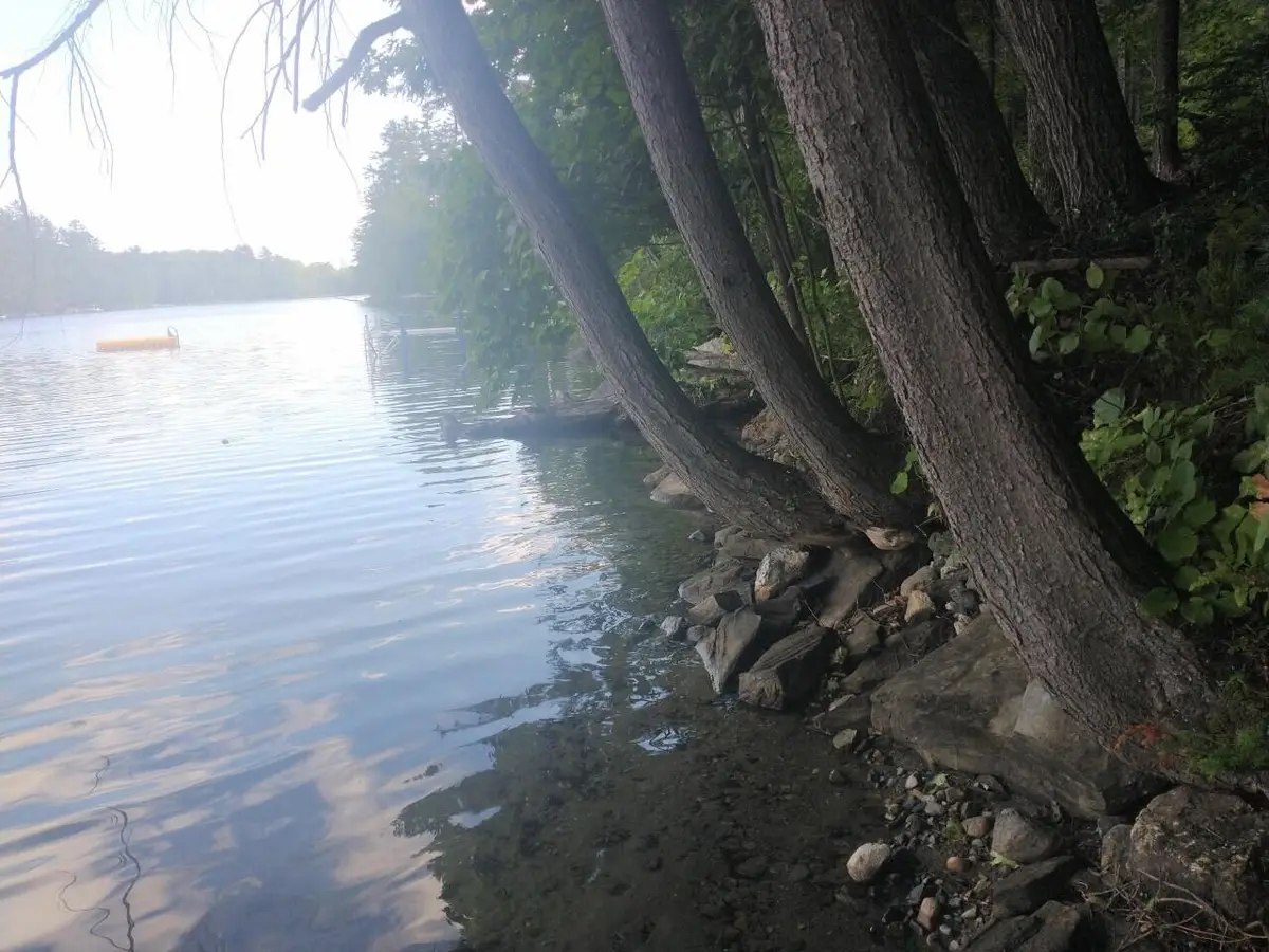 Lot 11 Herrin Woods Road, Vienna, ME 04360 - Image #1