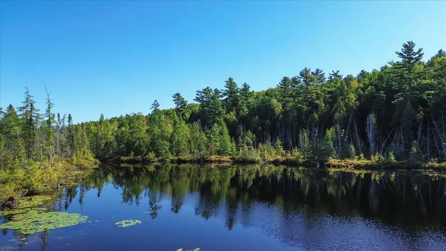 0 Dragonfly Drive, Holden, ME 04429 - Image #3