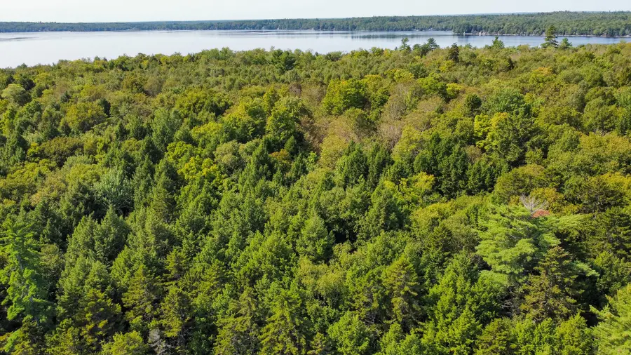 P/O M29L23 Bluff Road, Enfield, ME 04493 - Image #3