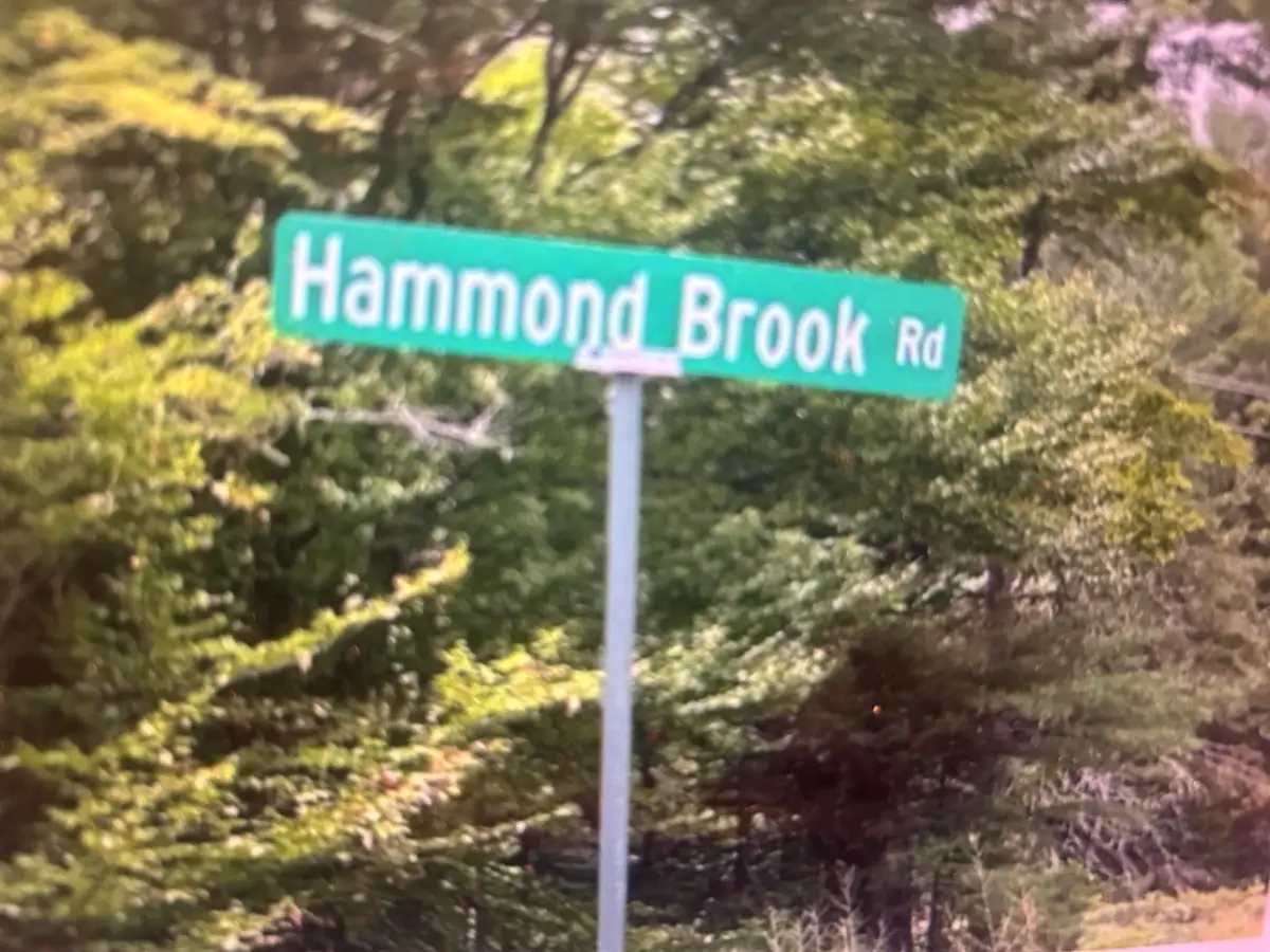 Lot #8 Hammond Brook Road Road #8, Monson, ME 04464 - Image #1