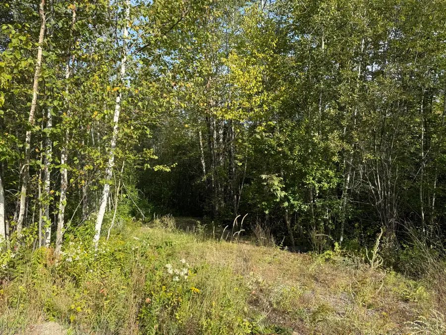 11 Bowling Green Lane, Belfast, ME 04915 - Image #3