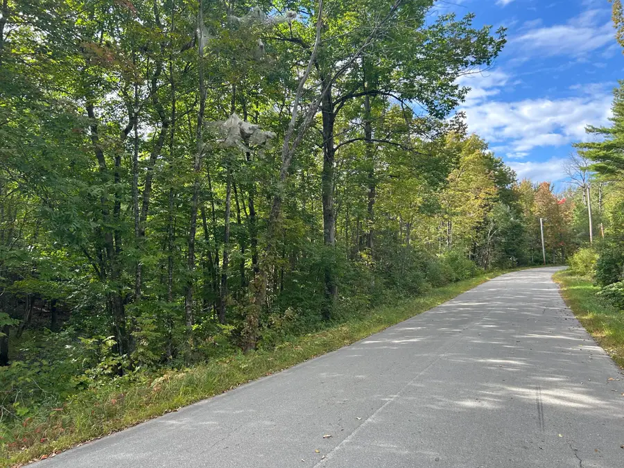 M5 Lot 13 Bradford Road/ridge Road, Charleston, ME 04422 - Image #2