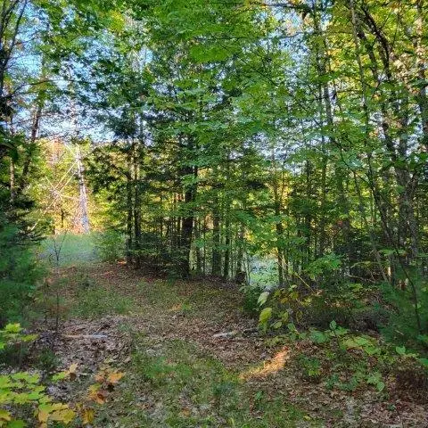 M14L17 Pattagumpus Road, Medway, ME 04460 - Image #2