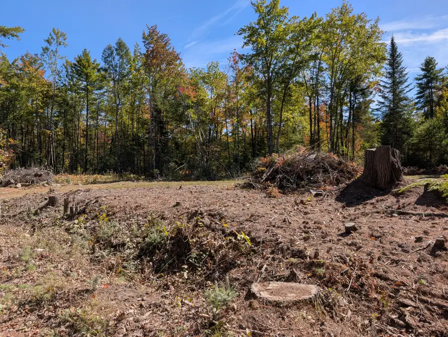 MR11 Lot40 Yeaton Swamp Road, Oxford, ME 04270 - Image #3