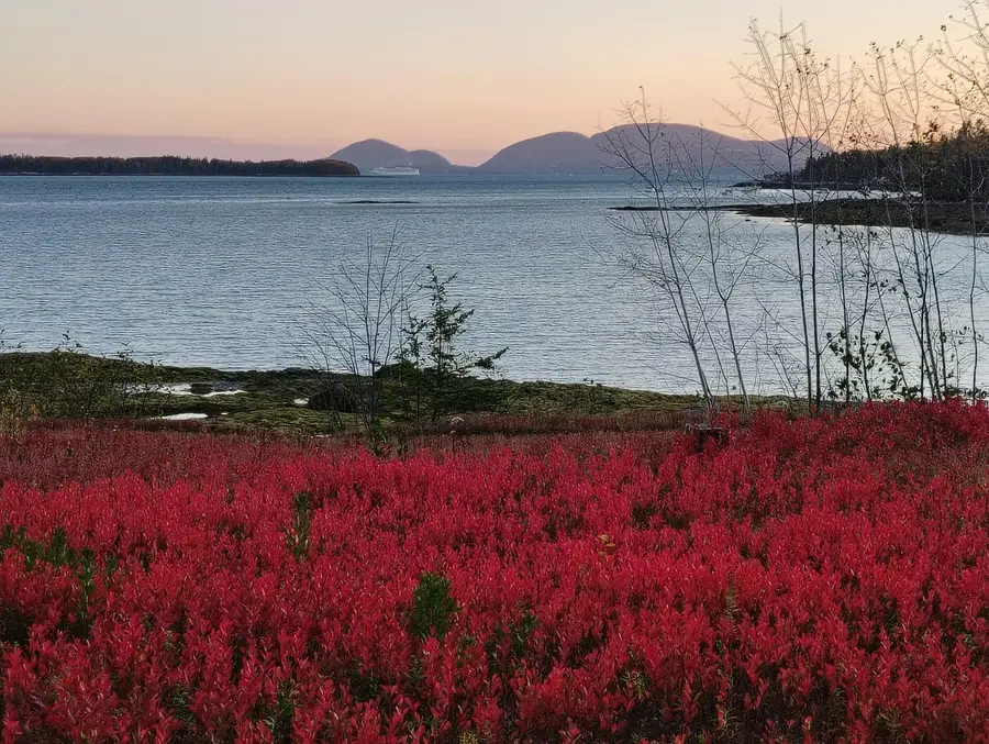 103 Gull Rock Road, Hancock, ME 04640 - Image #2