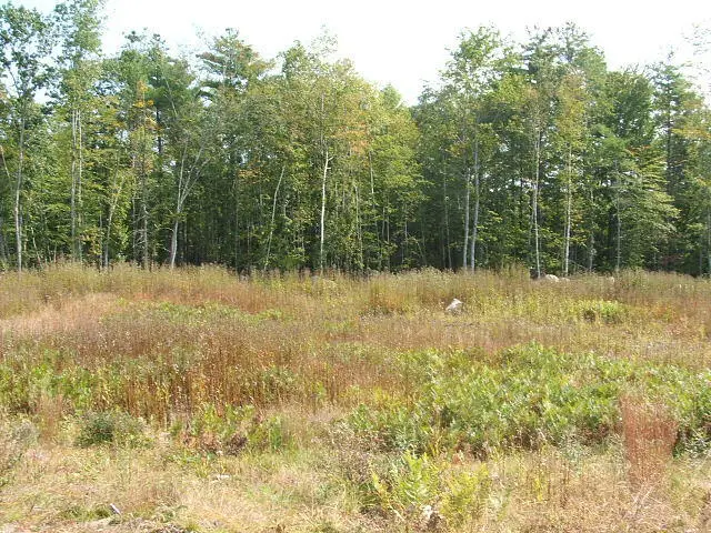 Lot 8 Pelletier Drive, Hollis Center, ME 04042 - Image #2