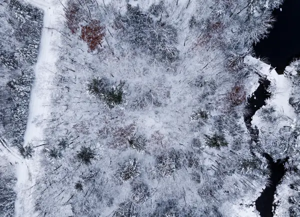 M035L11-14 Ring Bolt Lane, Surry, ME 04684