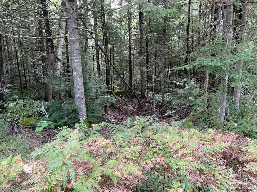 684 Lower Detroit Road, Plymouth, ME 04969 - Image #2