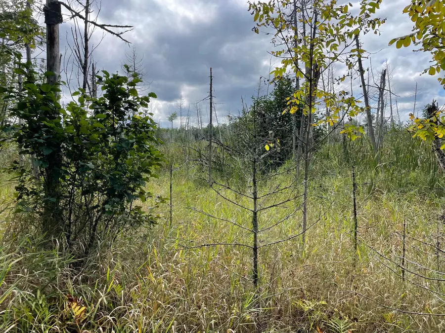 684 Lower Detroit Road, Plymouth, ME 04969 - Image #3