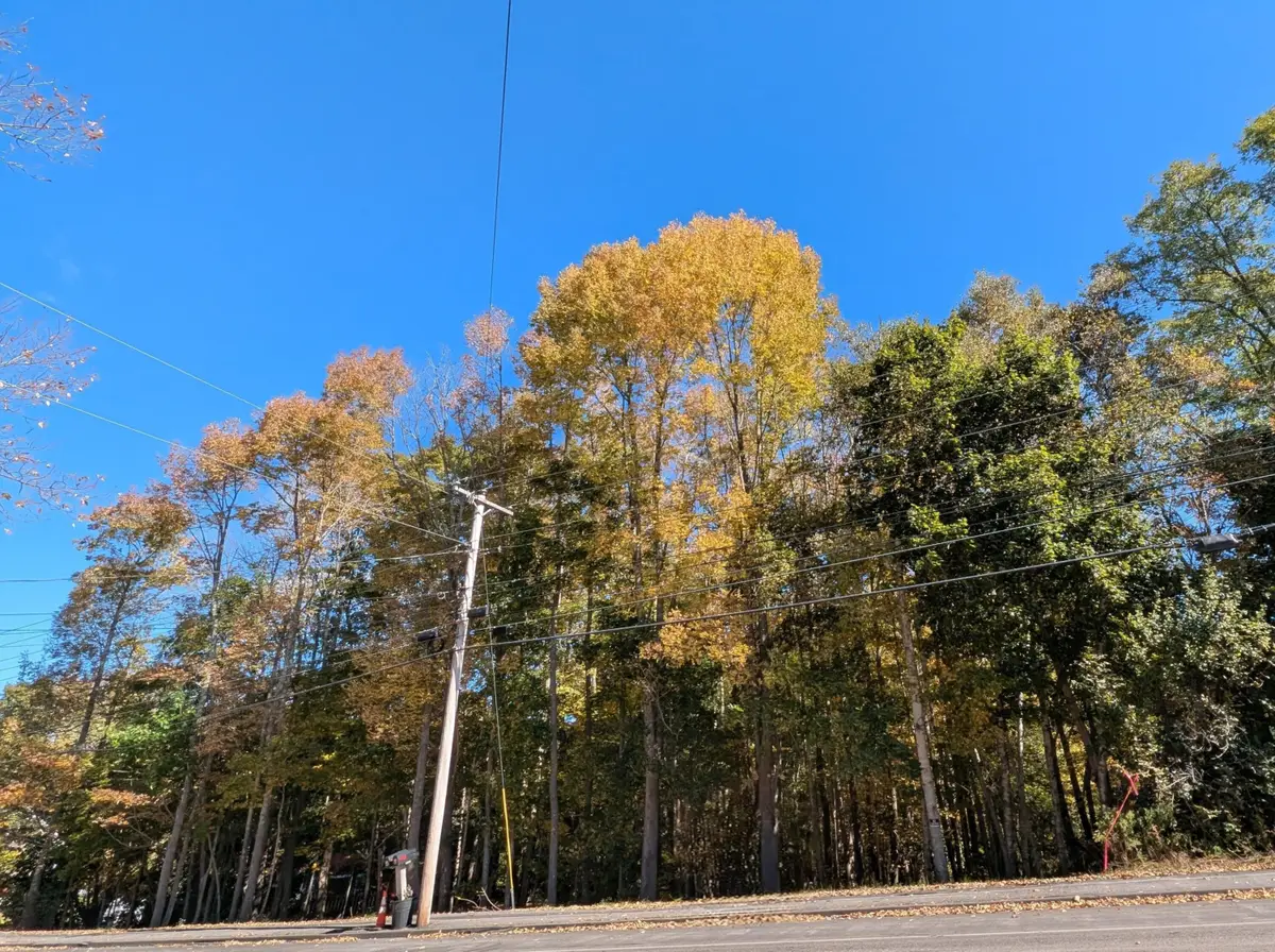 225 Waldo Avenue, Belfast, ME 04915 - Image #1