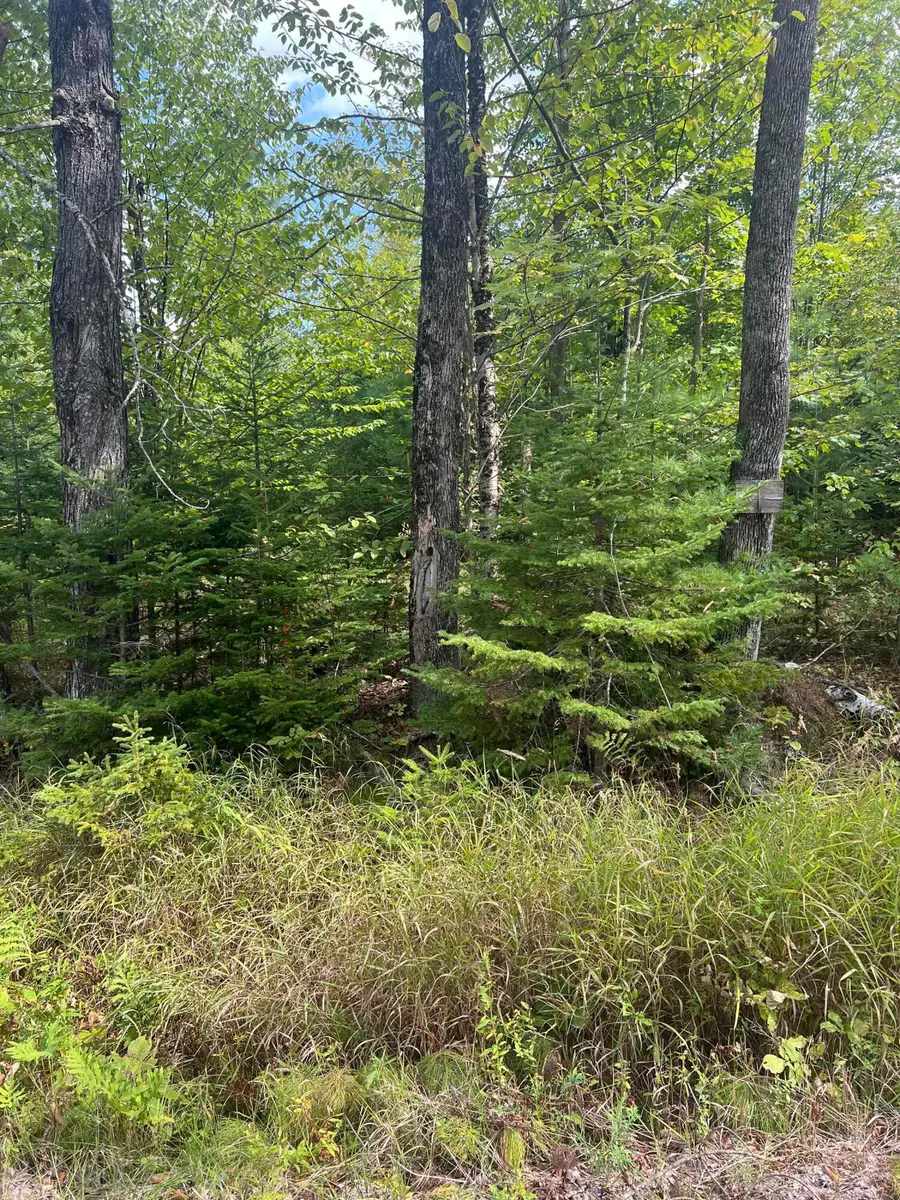 M4L46-1 Church Street, Brownville, ME 04414 - Image #3