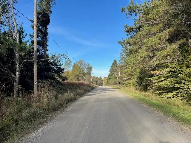 249 Madawaska Road, New Sweden, ME 04762 - Image #2