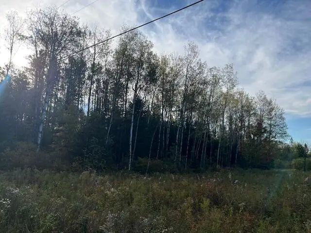 249 Madawaska Road, New Sweden, ME 04762 - Image #3